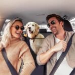PROZAR Dog Car Seat Cover for Back Seat, Hard Bottom Back Seat Extender for Dogs, Back Seat Pet Cover for Dogs - Supports 400lbs, Waterproof Heavy Duty Scratch Dog Hammock for Car SUV and Small Truck - Image 6