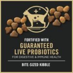 Purina Pro Plan High Protein Cat Food With Probiotics for Cats, Chicken and Rice Formula - 7 lb. Bag - Image 7