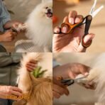 Fiskars Pet, Dog & Cat Grooming Scissors, Rounded Tips & SoftGrip Handle, Cat and Dog Supplies, 5.5”, Orange/Black, Detailing Scissors - Image 10
