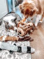 ZippyPaws Skinny Peltz - No Stuffing Dog Toy Pack to Keep Them Busy, for Medium and Large Dogs, Squeaky Pet Toys, Unstuffed Chew Toys, Soft Plush Variety Pack, Fox, Raccoon, and Squirrel - 18" - Image 3