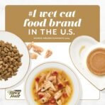 Purina Fancy Feast Gourmet Wet Cat Food Variety Pack, Petites Gravy Collection, break-apart tubs, 48 servings - (Pack of 24) 2.8 oz. Tubs - Image 6