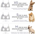Dog Grooming Hammock Harness for Dogs & Cats with Pet Nail Clipper Trimmer - Cat Hanger Sling for Trimming Clipping Nails- Dog Hammock Restraint Bag for Small Medium Large pet （ Grey S ） - Image 5