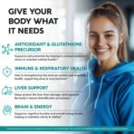 NAC Supplement | Selenium | B6 | B12 - Antioxidant, Immune Support - N Acetyl Cysteine 600 mg per Capsule, 1200 mg per Serving - Made in USA - Non-GMO, Gluten-Free, Vegan - 120 caps, 2 Month Supply - Image 4