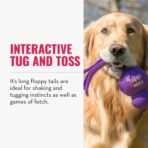 KONG Wubba - Dog Toy for Tug of War & Fetch - Dog Supplies for Puppy & Dog Playtime - Outdoor & Indoor Dog Toy - for XL Dogs - Randomly Provided Color - Image 4