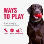 KONG Wubba - Dog Toy for Tug of War & Fetch - Dog Supplies for Puppy & Dog Playtime - Outdoor & Indoor Dog Toy - for XL Dogs - Randomly Provided Color - Image 6