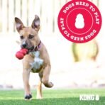 KONG Wubba - Dog Toy for Tug of War & Fetch - Dog Supplies for Puppy & Dog Playtime - Outdoor & Indoor Dog Toy - for XL Dogs - Randomly Provided Color - Image 8