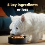 Cesar Simply Crafted Adult Wet Dog Food Toppers for Dry Food, Chicken, 1.3 oz Tubs, 10 Count - Image 4
