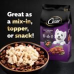 Cesar Simply Crafted Adult Wet Dog Food Toppers for Dry Food, Chicken, 1.3 oz Tubs, 10 Count - Image 10