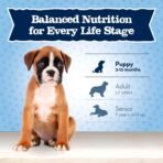 Blue Buffalo Baby Blue Natural Dry Food for Puppies, Healthy Growth Formula with DHA, Savory Chicken Recipe, 4-lb Bag - Image 6