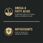 Purina Pro Plan Sensitive Skin and Stomach Dog Food Dry, Adult Salmon & Rice Formula, Digestive Health - 16 lb. Bag - Image 4