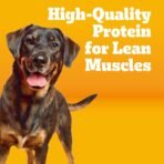 Pedigree Healthy Weight Adult Dry Dog Food, Roasted Chicken and Vegetable Flavor, 14 lb. Bag - Image 3