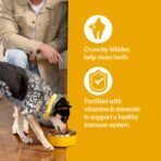 Pedigree Healthy Weight Adult Dry Dog Food, Roasted Chicken and Vegetable Flavor, 14 lb. Bag - Image 7