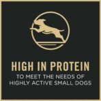 Purina Pro Plan Small Breed Dog Food With Probiotics for Dogs, Shredded Blend Chicken & Rice Formula - 6 lb. Bag - Image 3