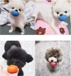 Smile Face Dog Squeaky Toys Soft Latex Squeak Balls for Puppy Small Pet Dogs 6 Pcs/Set - Image 5