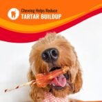 Good ‘n’ Fun Triple Flavor Kabobs Chews for All Dogs, 24 Ounces, Treat Your Dog to Long-Lasting Chews Made from Beef Hide, Real Chicken, Pork Hide, Duck and Chicken Liver - Image 6