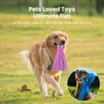 HGB Squeaky Dog Toys - Octopus No Stuffing Crinkle Plush Large Dog Toys to Keep Them Busy, Interactive Puppy Teething Chewing Pet Supplies for Chewer, Small, Medium, Large Breeds, 2 Pack - Image 5