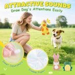 XIUGOAL Dog Toys to Keep Them Busy, 3 Pack No Stuffing Interactive Dog Toys with Crinkle, Squeaky Puppy Chew Toys for Small, Medium Breeds - Image 6