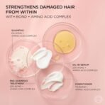 L'Oreal Paris EverPure Sulfate-Free Vegan Hair Care Kit - Shampoo and Conditioner to Strengthen and Repair Hair Bonds (Packaging May Vary) - Image 7