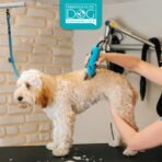 Prestige Elite - Set of 6 - Dog Groomers Helper Grooming Loops for Dogs Groomers - Adjustable Biothane Dog Grooming Loop, Belly Strap, Grooming Noose, Extension Strap & More - Dog Grooming Leash - Image 4