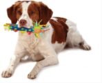 Cool Teething Stick – Puppy Chew Toy for 0–6 Month Puppies, Teething Relief, Freezable & Durable - Image 4