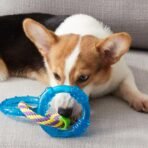 Petstages Dental Links Dog Chew Toy – Puppies & Adults, Strong Chewers, Multiple Textures & Rope, 8.5" x 4" x 1" - Image 5
