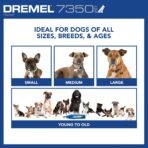 Dremel 7350-PET 4V Pet & Dog Nail Grinder, Easy-To-Use & Safe Nail Trimmer, Professional Pet Grooming Kit - Works on Large, Medium, Small Dogs & Cats - Image 4