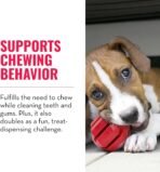 KONG Stuff-A-Ball - Durable, Natural Rubber Chew Toy for Dogs - Dental Health Pet Toy for Chewing & Teeth Cleaning - Stuffable for Treats & Snacks - for Large Dogs (Pack of 2) - Image 3