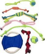 Jalousie Multipack Dog Squeaky Toys Bulk Bundle Pup Toy - Puppy Toys for Pets for Small Medium Breed (24 PCs Gift Basket) - Image 9