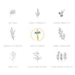 Daeng Gi Meo Ri - Ki Gold - Premium Shampoo + Treatment Set for Hair Loss, Thin Hair, Gray Hair Prevention and Treatment, Medicinal Herbal Shampoo, All Natural, Korea's No. 1 Hair Brand - Image 4