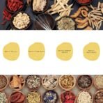 Daeng Gi Meo Ri - Ki Gold - Premium Shampoo + Treatment Set for Hair Loss, Thin Hair, Gray Hair Prevention and Treatment, Medicinal Herbal Shampoo, All Natural, Korea's No. 1 Hair Brand - Image 5