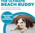 Outward Hound by Charming Pet Squawkers Henrietta Latex Squeaky Rubber Chicken Dog Toy, Funny Interactive Holiday Toy for Dogs, Small Size - Image 3