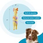 Outward Hound by Charming Pet Squawkers Henrietta Latex Squeaky Rubber Chicken Dog Toy, Funny Interactive Holiday Toy for Dogs, Small Size - Image 4