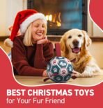 QDAN Dog Balls, World Cup Soccer Ball with Straps, Durable Herding Balls for Small Medium Pet, Puppy Birthday Gifts, Dog Water Toy, Pet Toys Puppy Ball (6 Inch) - Image 3