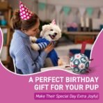 QDAN Dog Balls, World Cup Soccer Ball with Straps, Durable Herding Balls for Small Medium Pet, Puppy Birthday Gifts, Dog Water Toy, Pet Toys Puppy Ball (6 Inch) - Image 4