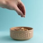 Mason Cash: Cane Rabbit Bowl - 5.2", 13.5oz - Tan Food-Water Feeding Dish, Durable Ceramic Stoneware, Microwave-Dishwasher Safe, Pet Feeding-Hydration - Image 6