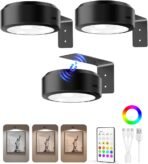 EZVALO Picture Lights for Wall, 2000mAh Rechargeable Battery Magnetic Poster Lights with 3 Color Temps & 12 RGB, Remote Dimmable Timer Painting Light, Wall Decor Light for Art Display, Frame (3 Pack) - Image 2