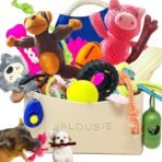 Jalousie Multipack Dog Squeaky Toys Bulk Bundle Pup Toy - Puppy Toys for Pets for Small Medium Breed (24 PCs Gift Basket) - Image 2
