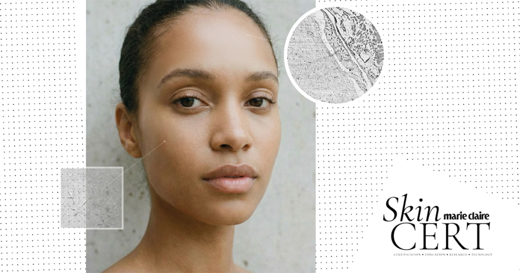 Zombie Cells: The Breakthrough About to Transform Skincare